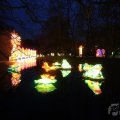 IMG_949881