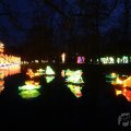 IMG_949885