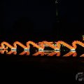 IMG_949905