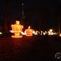 IMG_949945