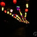 IMG_949987