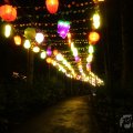 IMG_949989