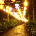 IMG_949995