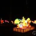 IMG_950000