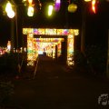 IMG_950009