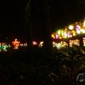 IMG_950010