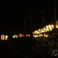 IMG_950011
