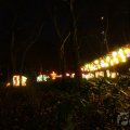 IMG_950015