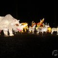 IMG_950016