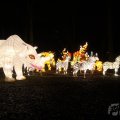 IMG_950023