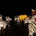 IMG_950042