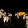 IMG_950044