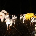 IMG_950050