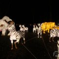 IMG_950054