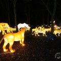IMG_950056
