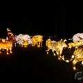 IMG_950062