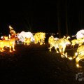 IMG_950068