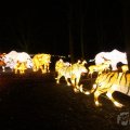 IMG_950069