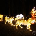 IMG_950072