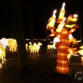 IMG_950075