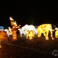 IMG_950093