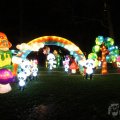 IMG_950123