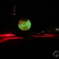 IMG_950478