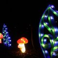 IMG_950721