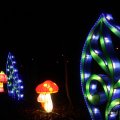 IMG_950722