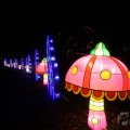 IMG_950724