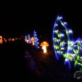 IMG_950729