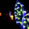 IMG_950732