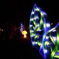 IMG_950733