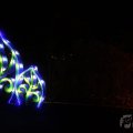 IMG_950745