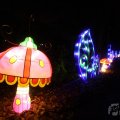 IMG_950749