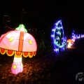 IMG_950751
