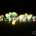 IMG_950758