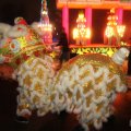 IMG_950910