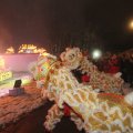 IMG_950925