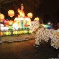 IMG_950952