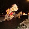 IMG_950962
