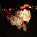 IMG_951021
