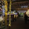IMG_951207
