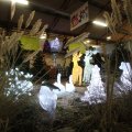 IMG_951229
