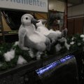 IMG_951280