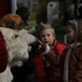 IMG_951649