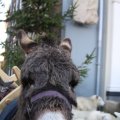 IMG_952896