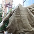 IMG_953173