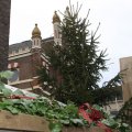 IMG_953333