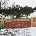 IMG_953498